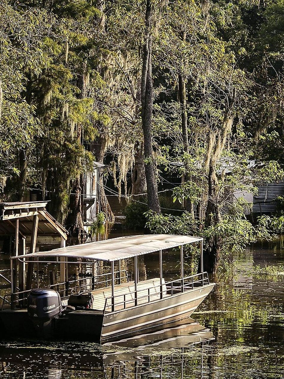The Working Dock